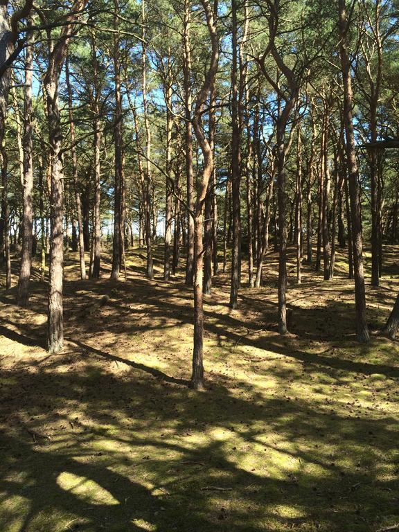 Hotel- & Ferienanlage Kapitaens-Haeuser Бреге Екстериор снимка
